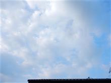 ７月８日　朝から蒸し暑い火曜日、おはよ～♪