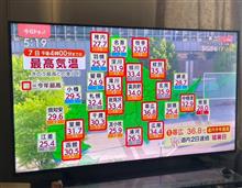 気温も関税もヤバい？！