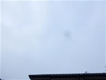７月９日　天気が下り坂な水曜日、おはよ～♪