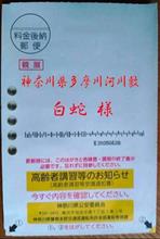 高齢者の暴走について思う事