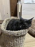 自分のことを優先出来ない