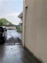 雨降りました
