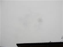 ７月１０日　暑さから解放されそうな木曜日、おはよ～♪