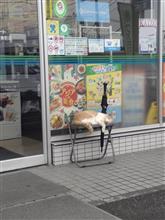 そっとしよう
