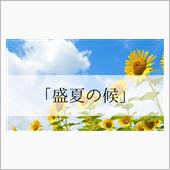 新調