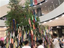 今年も天の川は見えなかったよ