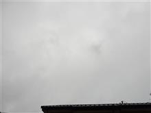 ７月１１日　一気に気温が下ったラス１の金曜日、おはよ～♪