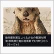 Galaxyの更新とWi-Fi 更新と業務連絡