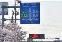 桜前線は北海道へ⑨　木古内町～森町　(2025 .5)