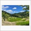 お米視察で大山千枚田！