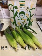 絶品ともろこしマジ美味い。