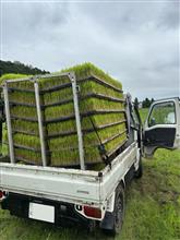 底辺農家に神現る