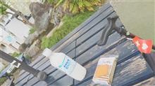 今日は涼しいので...