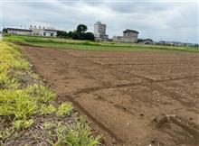 埼玉工業大学前、キツネの足跡。