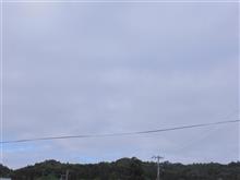 ７月１３日　週末の休みが終わっちゃう日曜日、おはよ～♪