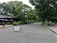 久々に