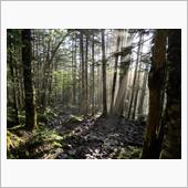 蓼科山登山