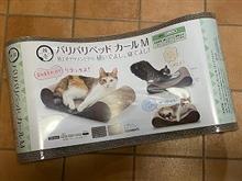 プライムデーででで