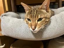 心配性いうかね(^◇^;)