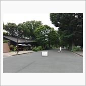 雨が降る前に