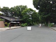 雨が降る前に