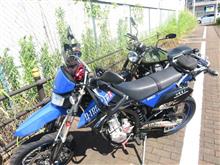 Blue Impulseを見に行ってみた。