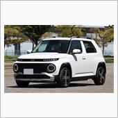 大回りの車ばかりですね。