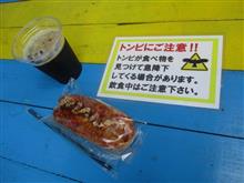 トンビに狙われている