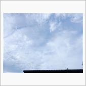 ７月１５日　グズグズな天気に ...