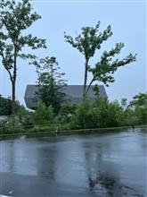 小雨です。