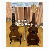 Martin C1K Uke ...