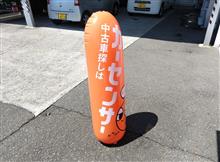 日向で頑張る
