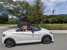 新緑の箱根をドライブする旅（2日目）