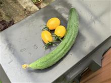 【再UP】最高に丁度いい夏野菜