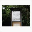 鴨川からの帰路にて