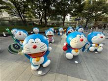 会社の外にドラ猫がいっぱいニャ😺😼😽