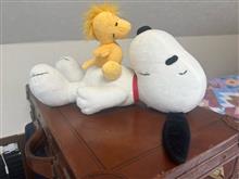 20250630 良いパパの休日 那須烏山市