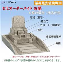セミオ~ダ仏 セミオ~ダ仏
