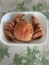 毛蟹