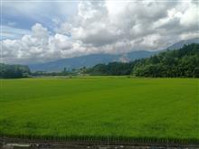 応援しよう
