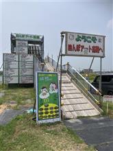 田んぼアートを