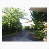 合宿中