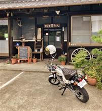 今年も始まっております