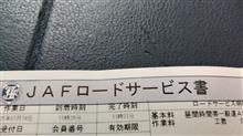 入会以来の利用 ※訂正あり 入会以来の利用 ※訂正あり