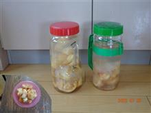 桃の果実酒を仕込んだ！