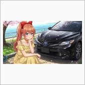 選挙だな～