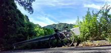 油山とウィンカーとスタンド