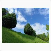 ふらっと富良野？