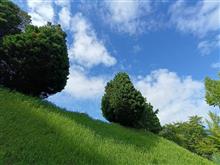 ふらっと富良野？