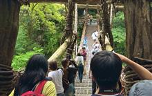 祖谷のかずら橋